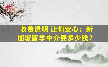 收费透明 让你安心：新加坡留学中介要多少钱？